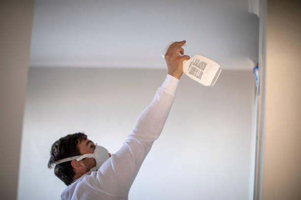 Best Residential Mold Removal  in Martin, SD