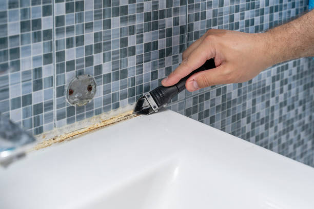 Best Emergency Mold Removal  in Martin, SD
